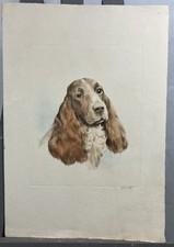 Eau forte couleur dans