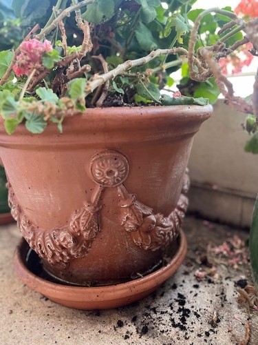 Paire pots fleurs - paire, de