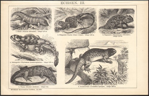 1897 gravure originale - 1897,