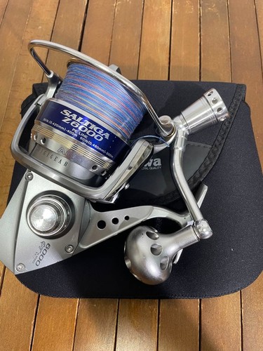 Daiwa saltiga z6000 - z6000, spinning