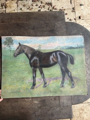 étude cheval peinture - -,