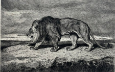 Lion Marchant ANTOINE LOUIS