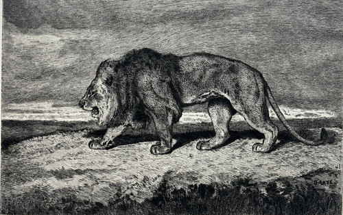 Lion marchant antoine - lion,