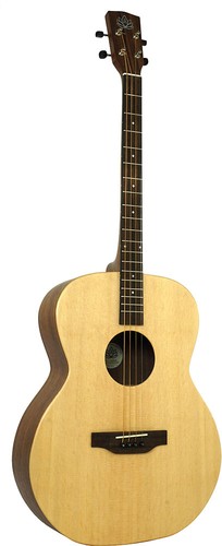 Guitare ténor modèle ashbury - guitare,
