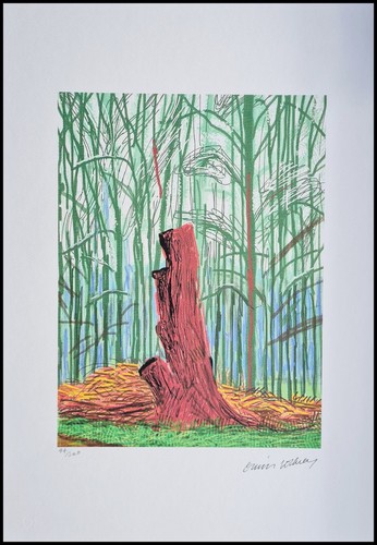 David hockney arrivée - david, *