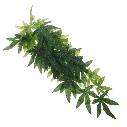 Feuilles reptile - feuilles,