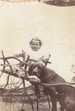 ANCIENNE PHOTOGRAPHIE CIRCA 1900 FILLETTE DANS SA CHARETTE AVEC SON CHIEN