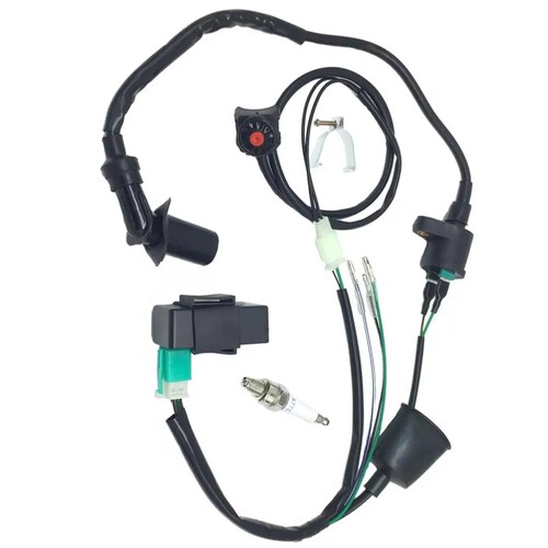Motor wiring loom - wiring,