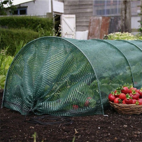 Cloche jardin conception - cloche,