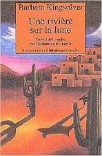 Une rivière sur la lune -