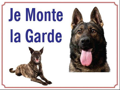 Attention chien je monte - attention,