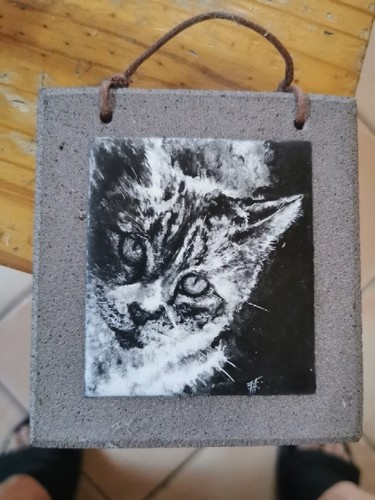 Chat émaux longwy - , ?