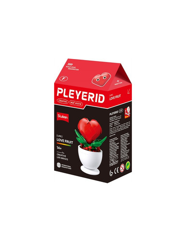 Pleyerid plante en pot - plante,