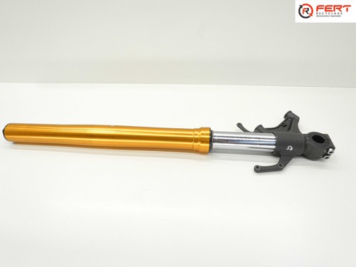 Bâton fourche gauche - bâton,