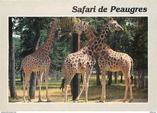 Carte Postale - Animaux -