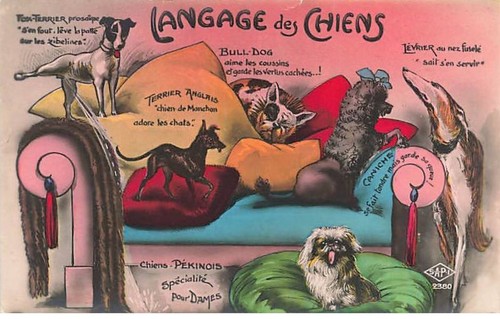 Fantaisie langage des chiens - fantaisie,