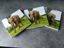 Sous Verres décoratifs