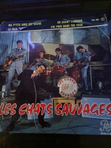Les chats sauvages p tite - les, .