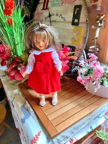 Robe neuve pour poupee marie - robe,