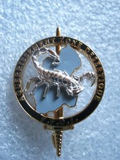 BREVET COMMANDO AGUERRISSEMENT