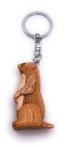 Marmotte paresseux chillig - marmotte,