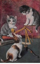 Animals - No. 86696 - Cats -