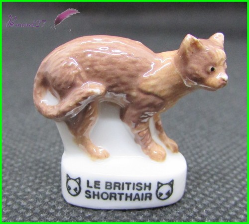 Feve les races chat - les, cat