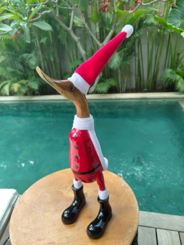 Bali wood canard - canard, de