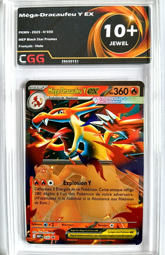 Pokémon francais mega - pokémon,