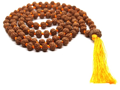 Thirteen mukhi premium guru - mukhi,