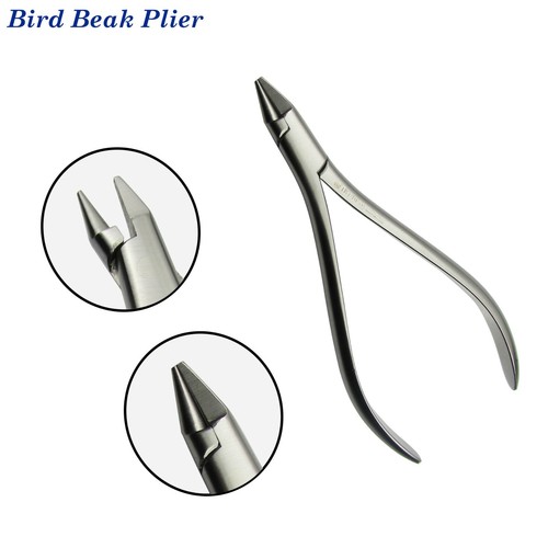 Dentaire orthodontique oiseau - dentaire,