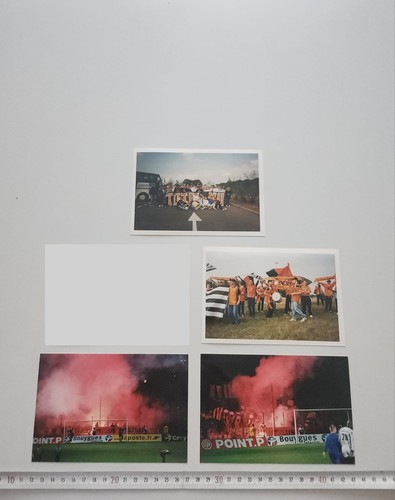Photos merlus ultras - photos,