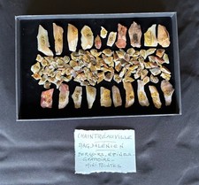 Préhistoire - Outils taillés