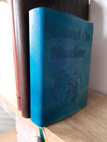 Manuel sorceleur couverture - du,