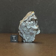 Campo del cielo Magnifique