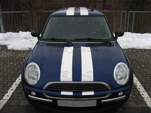 Autocollant viper stripes - viper, pour