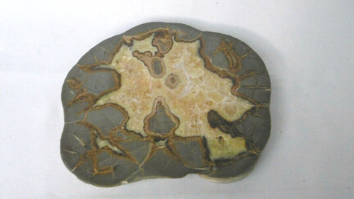Tranche polie septaria - tranche,