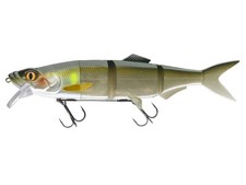 NEUF 2026 Prorex Hybrid