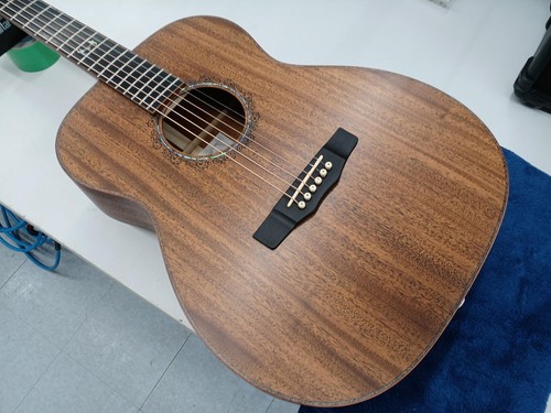 Guitare acoustique morris - guitare,