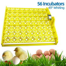 Incubateur Automatique De 56
