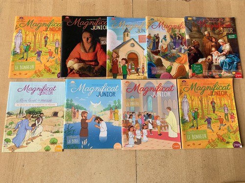 Lot magazines magnificat - 8,