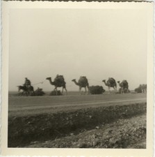 PHOTO ANCIENNE - VINTAGE