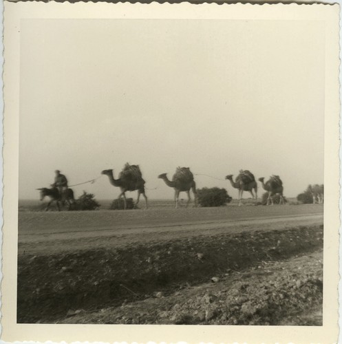 Photo ancienne vintage - photo,