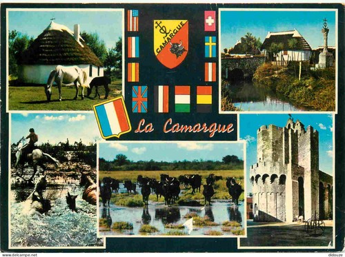 Carte postale camargue - carte,