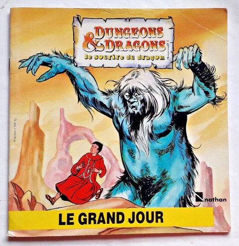 Livre illustré dungeons - -,
