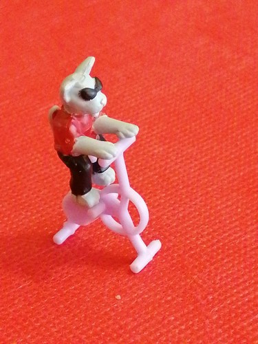Mini univers animal vivid - animal,