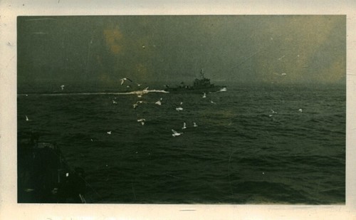 Photo ancienne forces navales - photo,