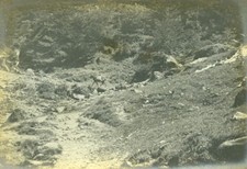 France Pyrenees near Cauterets Mountain Path Horse Old Amateur Photo Scrive 1900