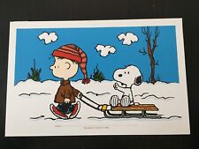 Ex-Libris BD - Peanuts - Charles M. Schulz - 17x26cm
