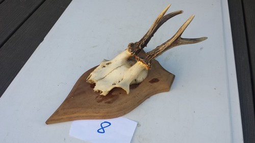 Massacre trophée de - n°8.,